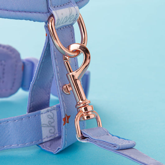 Conjunto de arnés y correa Mickey Lux Drip