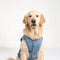 PAWSMOMENT Camden Denim Vest