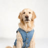 PAWSMOMENT Camden Denim Vest