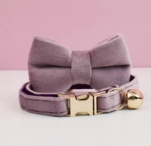 Velvet Charme Collars And Bow Fresh Ties