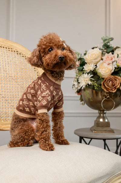 The Luxe Knit Vibrant Sweater