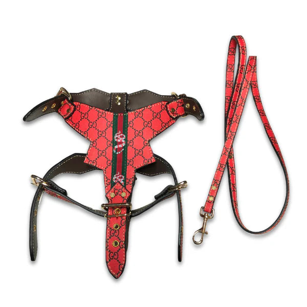 GG Rockstar Red Harness & Leash Rare Set