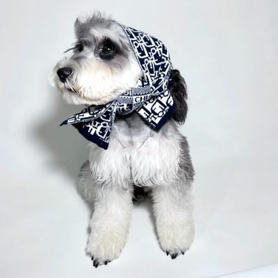 Doggo Pupior Sketchy Scarf