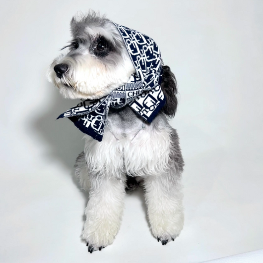 Doggo Pupior Sketchy Scarf