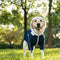PAWSMOMENT Two-Tone Windbreaker