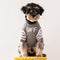 Offdog Lit Pullover