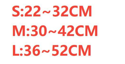 Bowy Wowy Harness & Leash Unseen Set