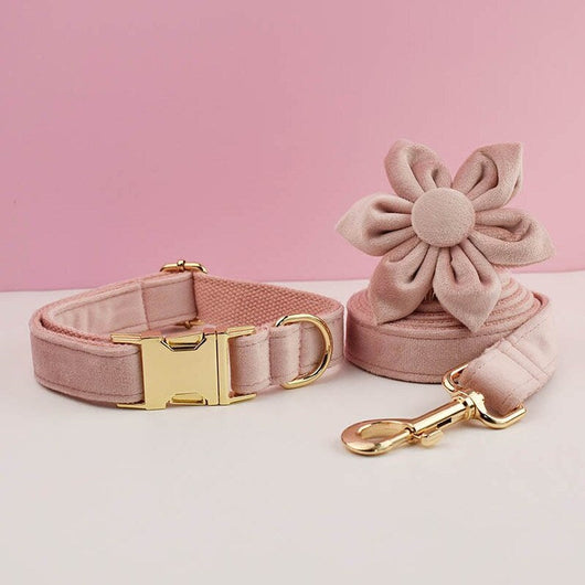 Velvet Luxe Flash Set