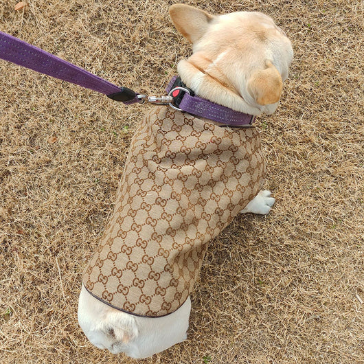 GG Pup Summer Vibrant Vest