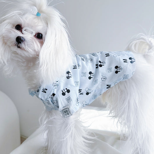 Big Dog Happy Summer Breeze Shirt