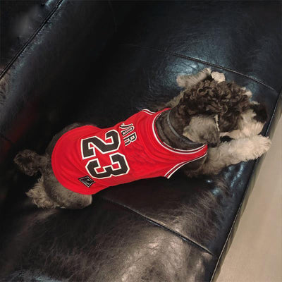 Jersey clásico para perros Legends n.° 23