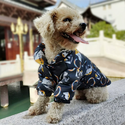 GG Hype Doggo Snatched Jacket