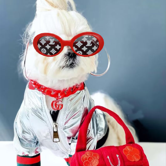 Doggo Classy Party Rare Sunglasses