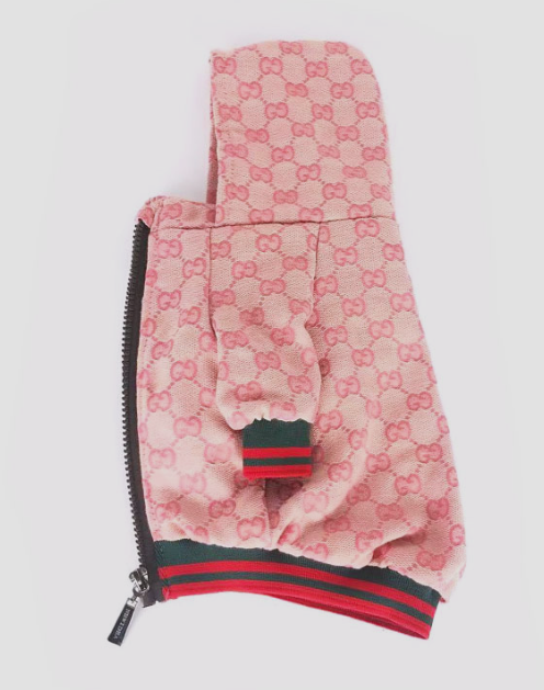 GG Fashionable Doggo Hooded Throwie Jacket