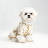 PAWSMOMENT Cream Tweed Dress