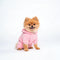 PAWSMOMENT Fleece Sweatsuit