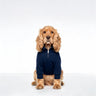 PAWSMOMENT Half-Zip Sweater