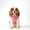 PAWSMOMENT Reversible Gingham Puffer Vest