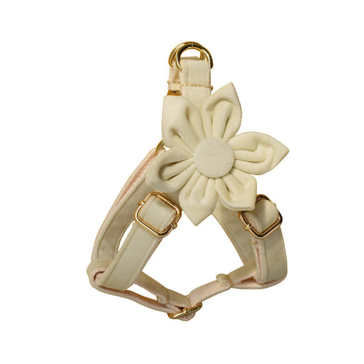 Velvet Cream Luxe Hot Set