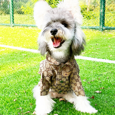 Pet Dog Prime Clothes