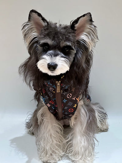 Pet Dog Retro Clothes