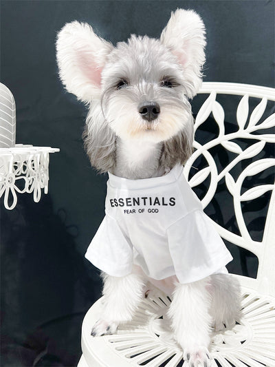 Pet Dog Lo-fi Clothes