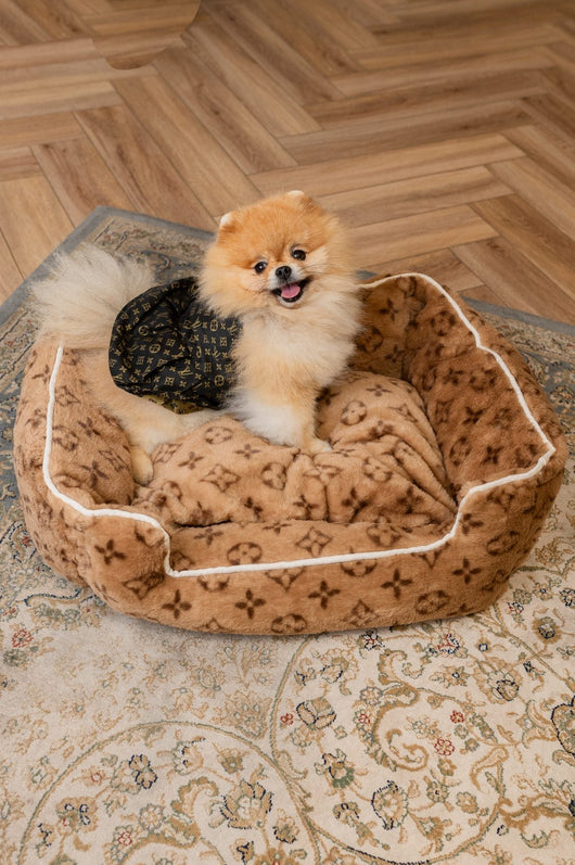 LV Soft Dog Adorable Bed