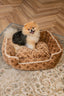 🛏️ Soft Dog Adorable Bed