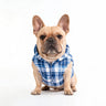 PAWSMOMENT Reversible Plaid Puffer Vest - Blue