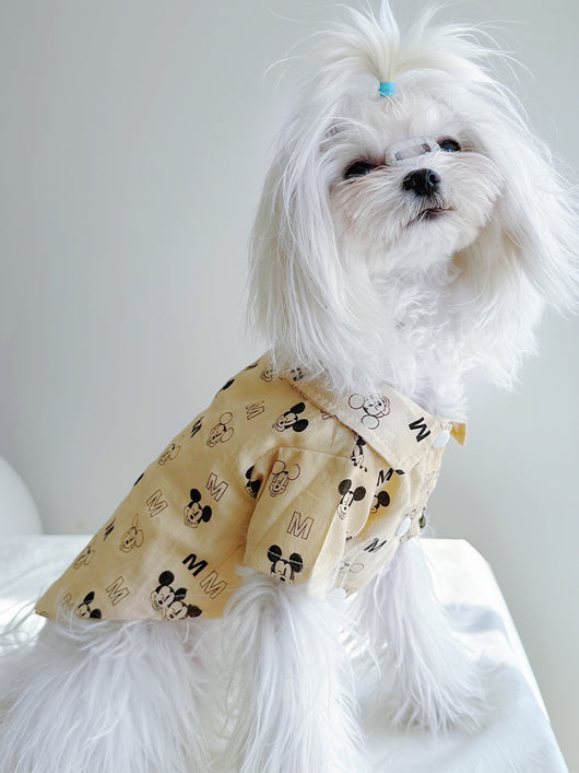 Big Dog Sweet Summer Shirt