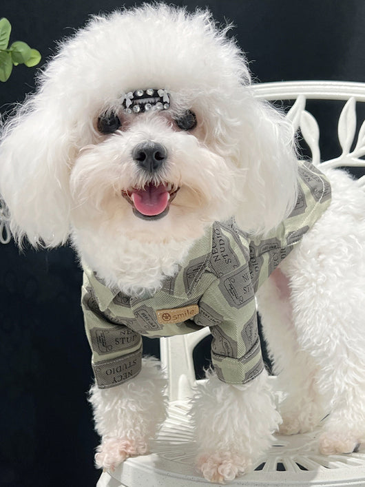 Big Dog Summer Vibes Shirt