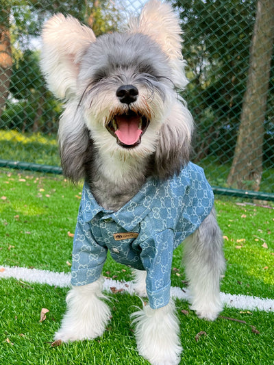 Big Dog GG Cool Summer Vibes Shirt