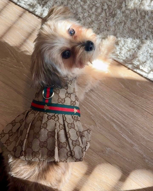 GG Harness Crisp Dress