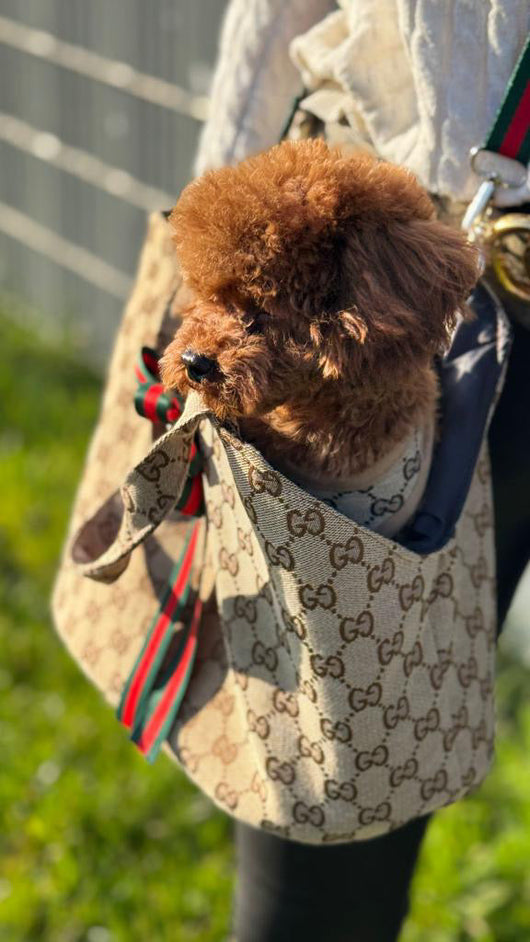 GG Carrier Unseen Bag