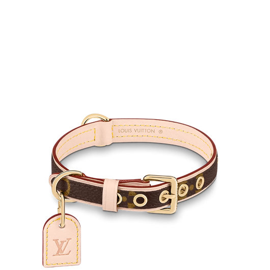 Amelia Dog Collar & Backspin Leash