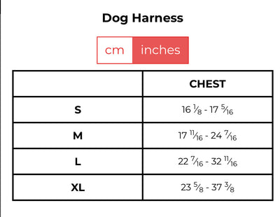 Suma Walking Timeless Set