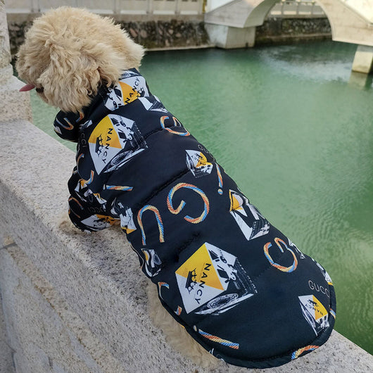 GG Hype Doggo Snatched Jacket