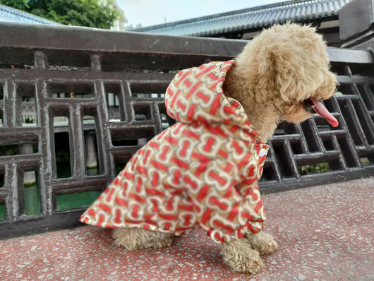 Veste de luxe Cool Drip