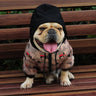 🧥 Pup Drip Golden Hoodie