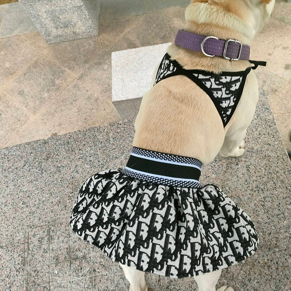 Canine Coastline Dog Beach Fire Wear