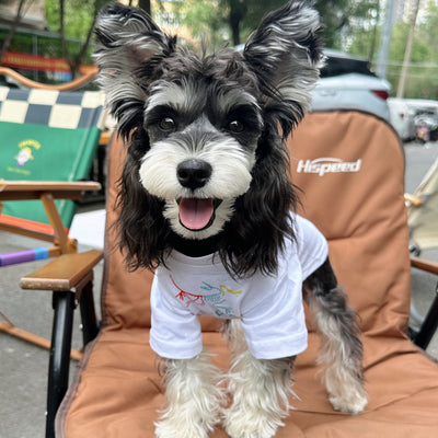 Pet Dog Clean Clothes