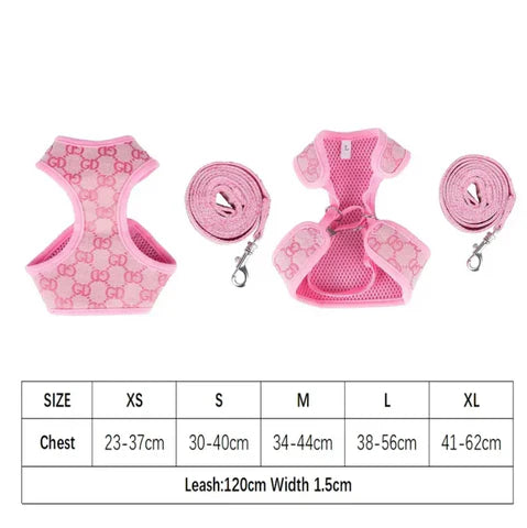 Bella Harness & Leash Warped Set
