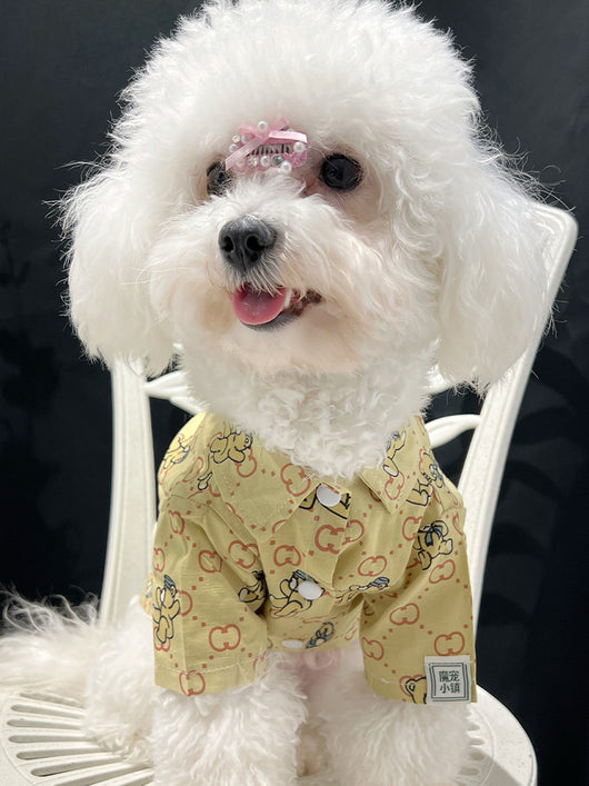 Big Dog GG Fresh Summer Shirt