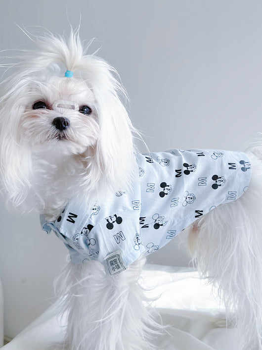 Big Dog Happy Summer Breeze Shirt