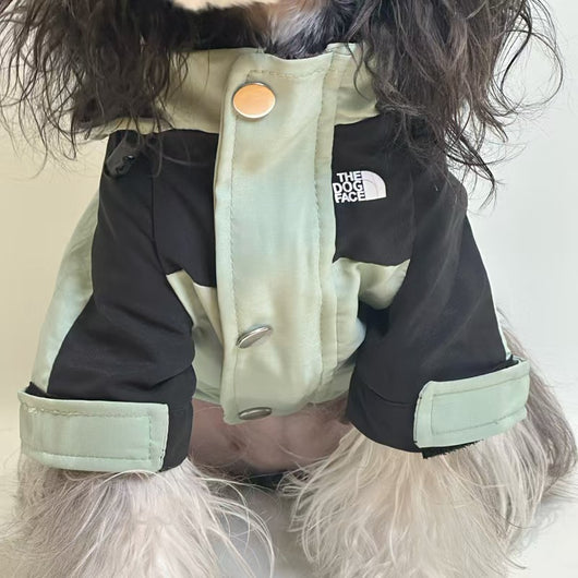 Pet Dog Heritage Clothes