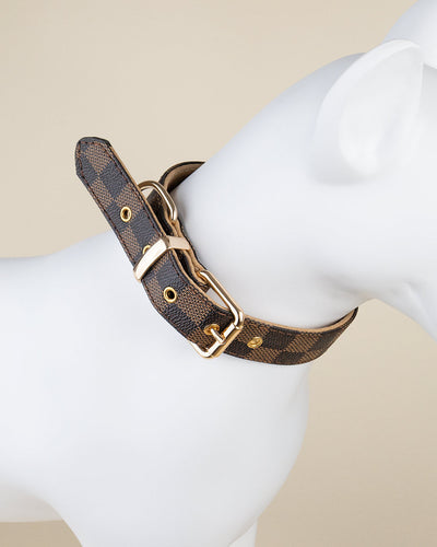 Olivia Collar & Leash Dreamy Set