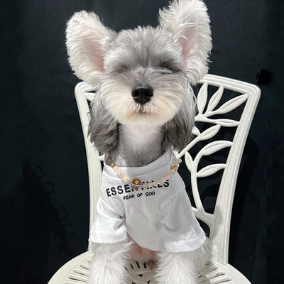 Pet Dog Lo-fi Clothes