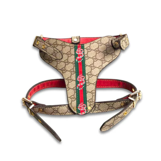 GG Hero Classic Harness& Leash Layered Set