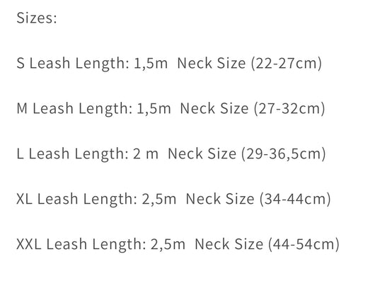 Donato Collar & Leash Dope Set