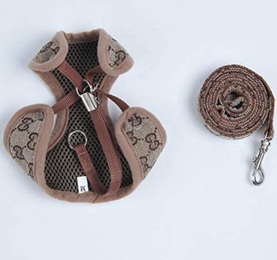 GG Harness & Leash Fire Set